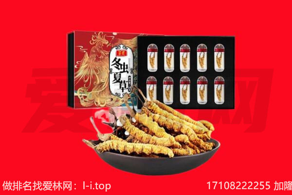 海南区回收虫草.jpg